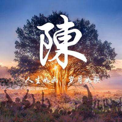 上海国际电影节｜SIFF纪录：在这里，与世界相会